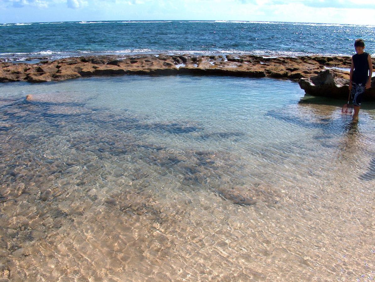 Itʻs All About The Beach Villa Hau'ula Eksteriør billede